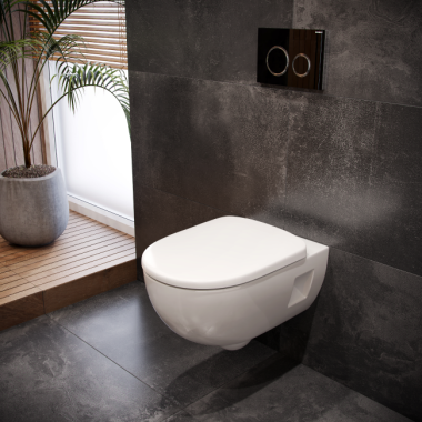 Miska WC, ceramika marki Geberit Miska WC, ceramika marki Geberit