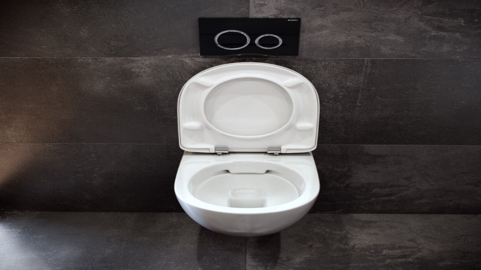 miska WC z technologią Rimfree miska WC z technologią Rimfree