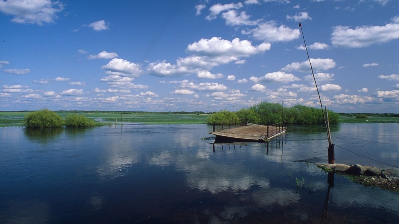 Chroń rzeki razem z WWF i Geberit Chroń rzeki razem z WWF i Geberit