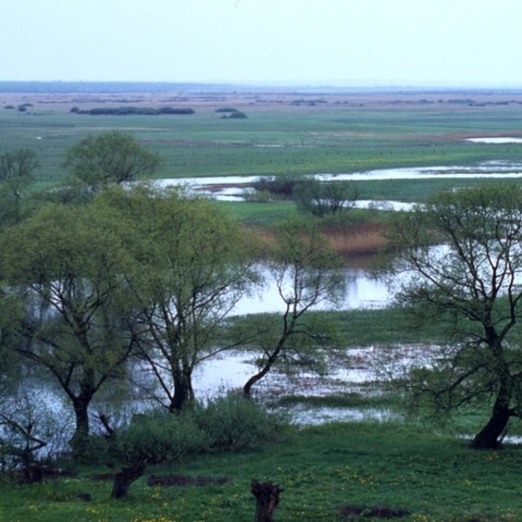 Program Strażnicy Rzek Program Strażnicy Rzek