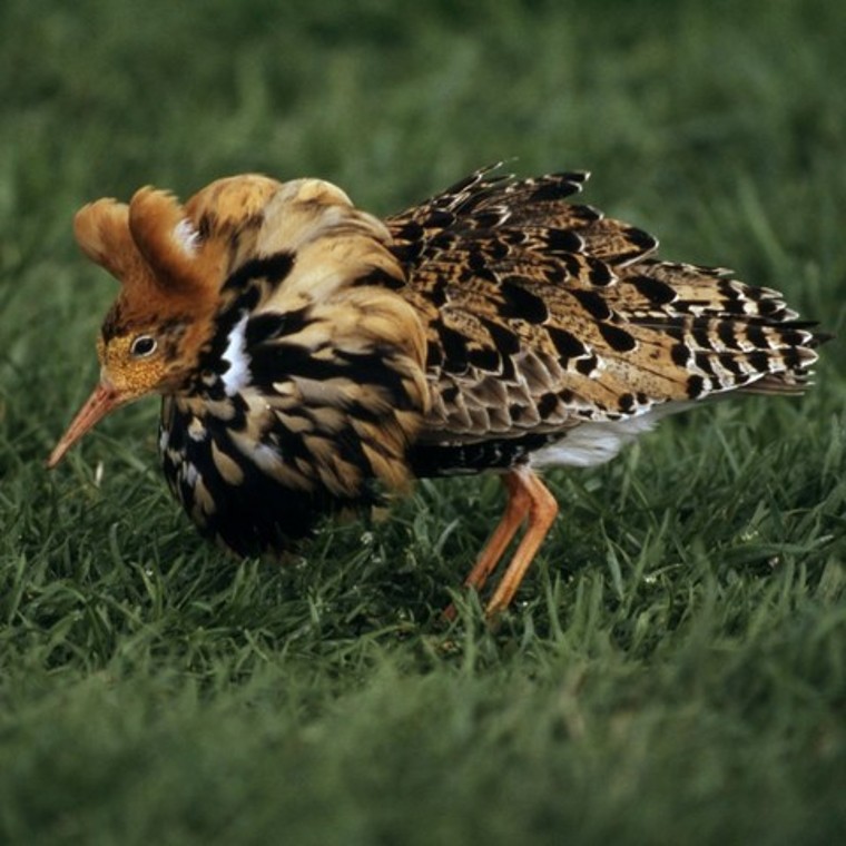 Program Strażnicy Rzek Program Strażnicy Rzek