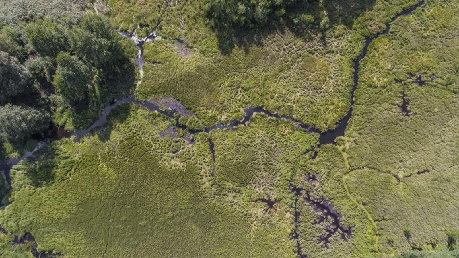 Strażnicy rzek Strażnicy rzek