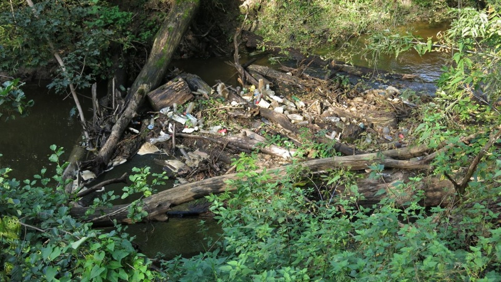 Program Strażnicy Rzek Program Strażnicy Rzek