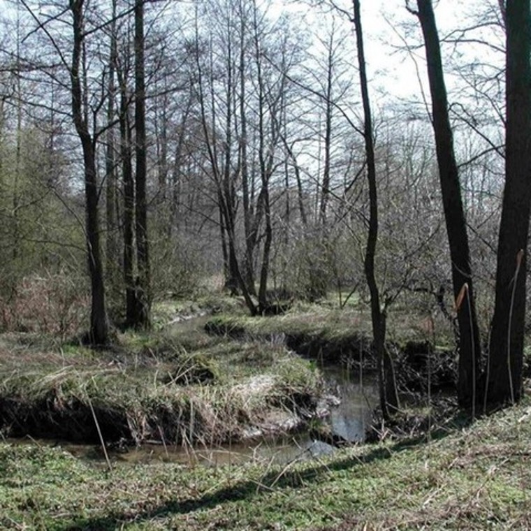 Program Strażnicy Rzek Program Strażnicy Rzek