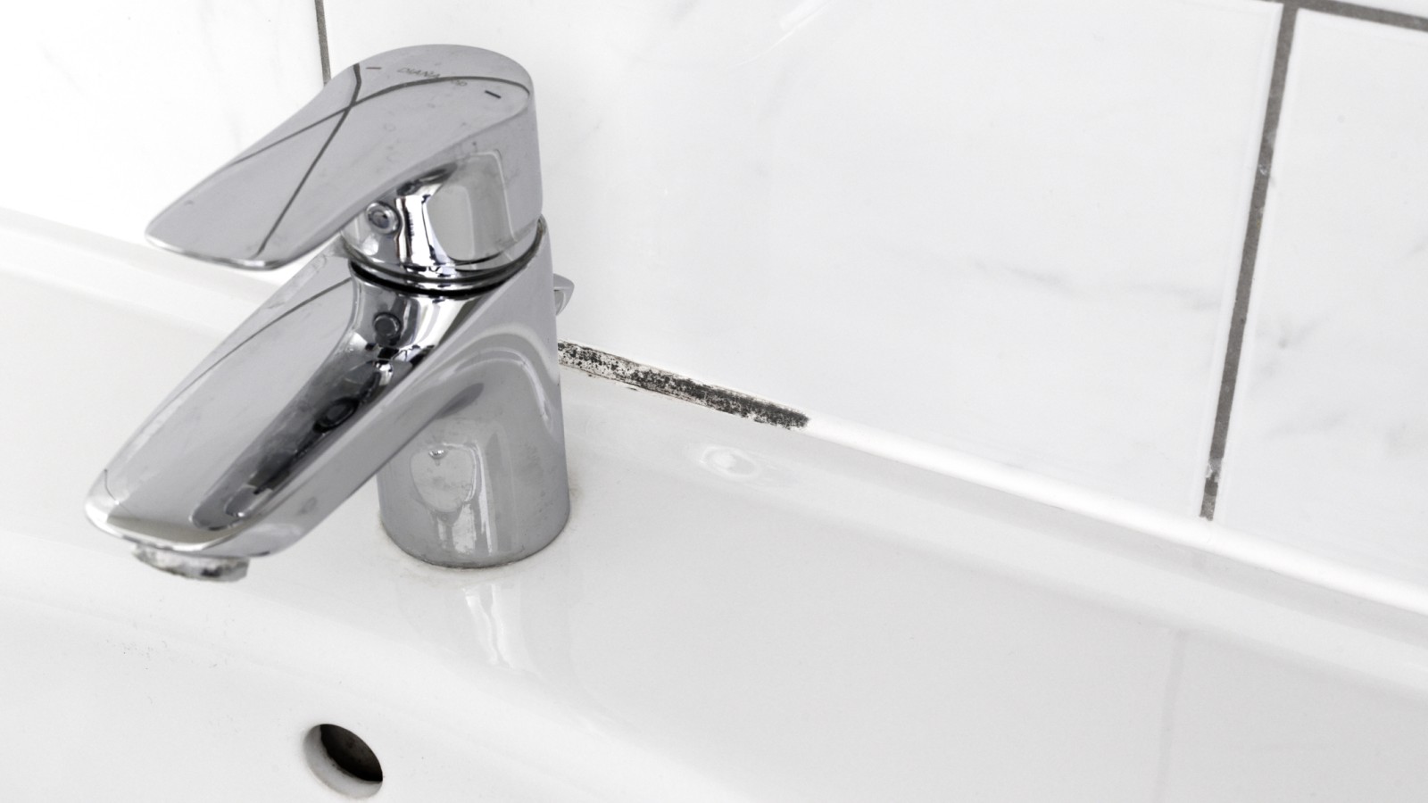 Pleśń w fugach łazienkowych Pleśń w fugach łazienkowych