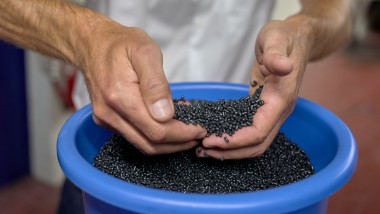 Ręce trzymające czarne plastikowe granulki (© Ben Huggler)