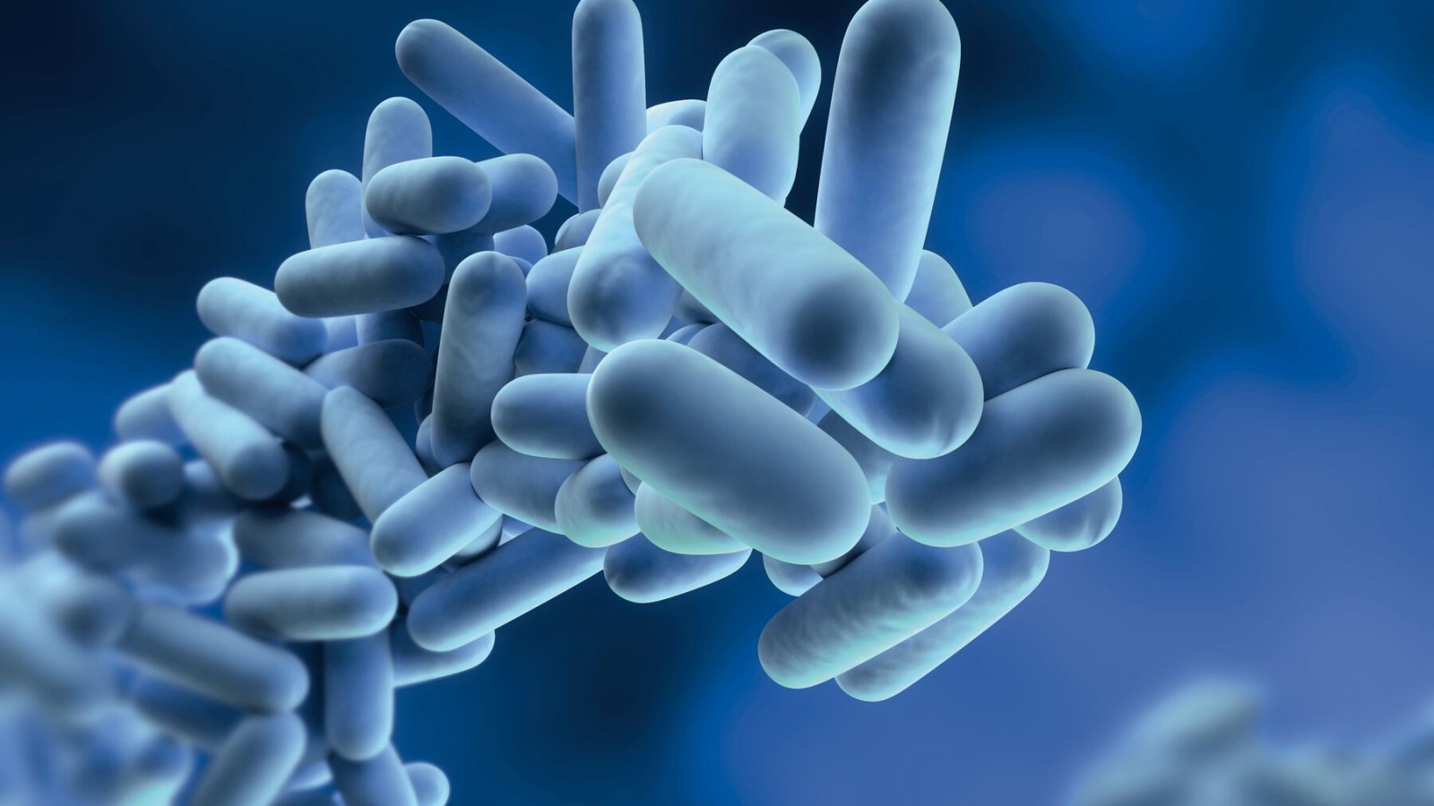 Legionella to bakterie, które mogą namnażać się w wodzie pitnej Legionella to bakterie, które mogą namnażać się w wodzie pitnej
