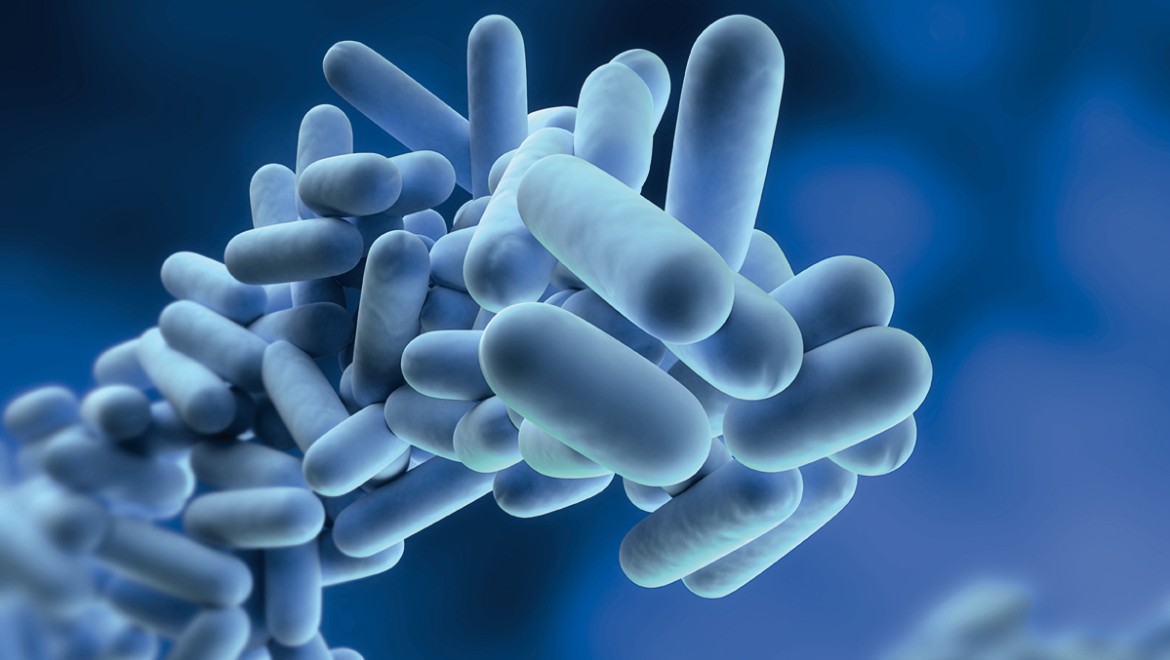 Legionella pneumophila (© Geberit)