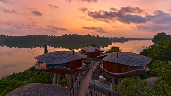 Kapsuły mieszkalne inspirowane kształtem nasion w Mandai Rainforest Resort (© Banyan Tree) Kapsuły mieszkalne inspirowane kształtem nasion w Mandai Rainforest Resort (© Banyan Tree)
