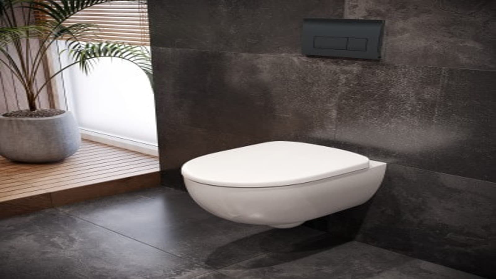 Geberit Selnova - miska WC, toaleta Geberit Selnova - miska WC, toaleta