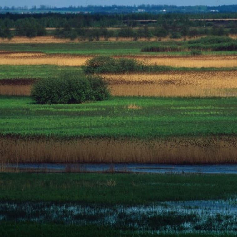 Program Strażnicy Rzek Program Strażnicy Rzek