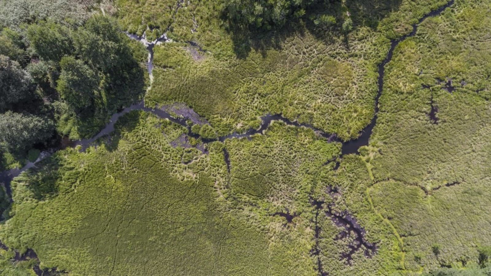 Poznaj strażników rzek Poznaj strażników rzek