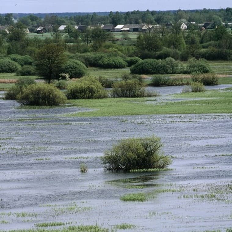 Program Strażnicy Rzek Program Strażnicy Rzek