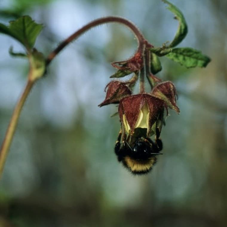 Program Strażnicy Rzek Program Strażnicy Rzek