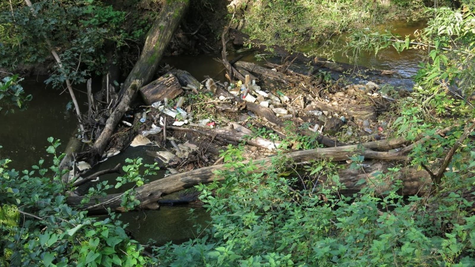 Program Strażnicy Rzek Program Strażnicy Rzek